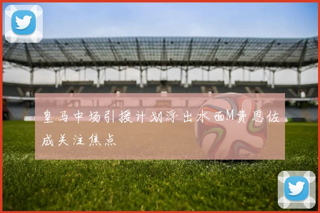 皇马中场引援计划浮出水面M费恩佐成关注焦点
