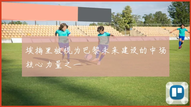 埃梅里被视为巴黎未来建设的中场核心力量之一