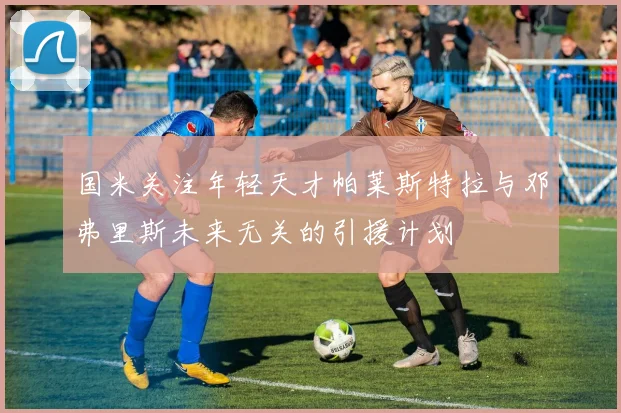 国米关注年轻天才帕莱斯特拉与邓弗里斯未来无关的引援计划