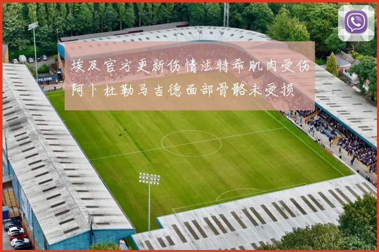 埃及官方更新伤情法特希肌肉受伤阿卜杜勒马吉德面部骨骼未受损