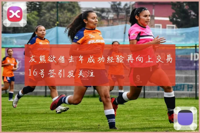 灰熊欲借去年成功经验再向上交易16号签引发关注
